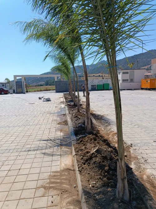 Entreprise green touch Tizi ouzou 