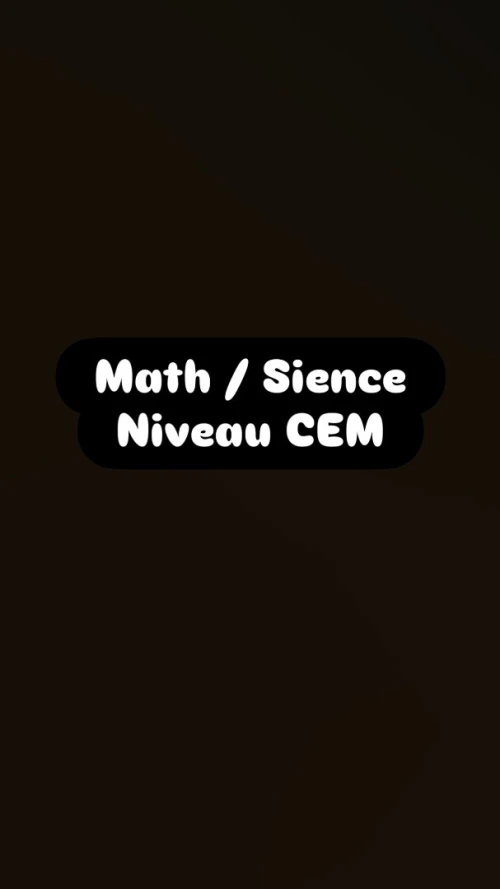 Cour de soutien en ligne 