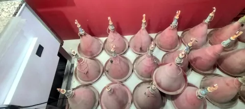 Buvette de poulet automatique