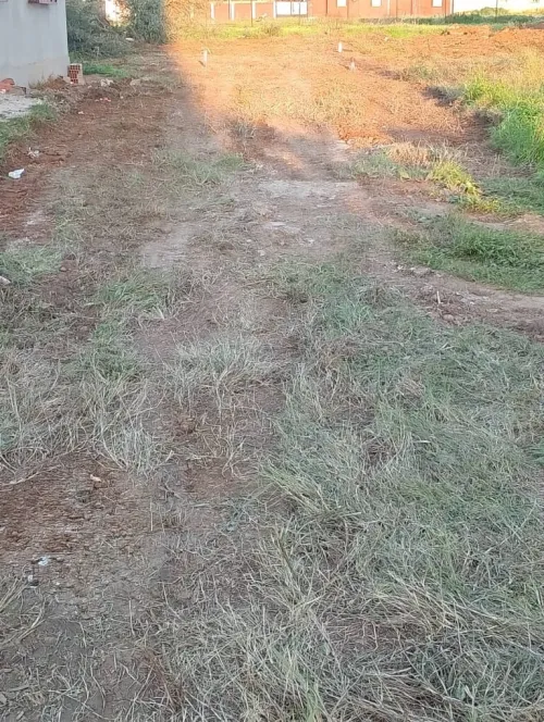 Vente Terrain Boumerdès Ouled hedadj