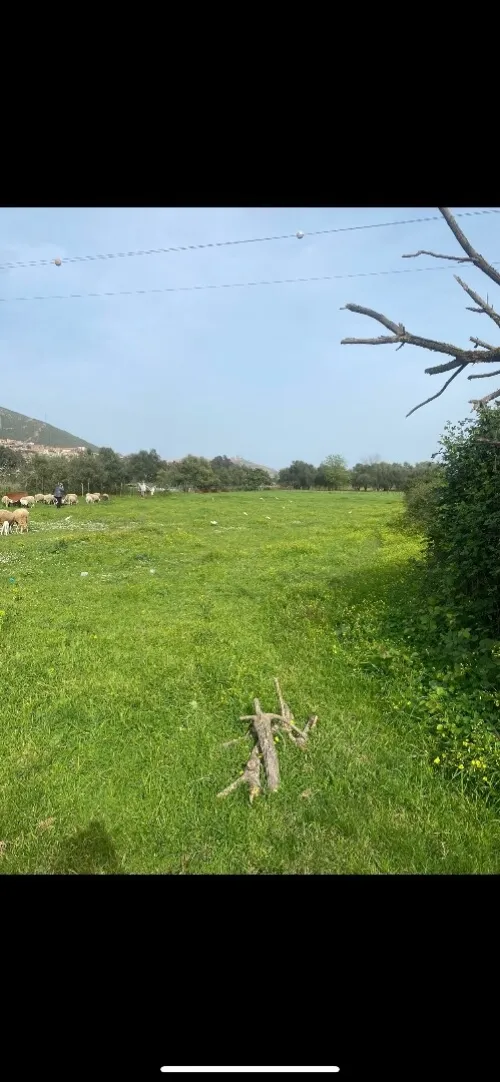 Vente Terrain Agricole Béjaïa Bejaia