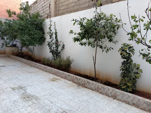 Location vacances Appartement Oran Ain el turck