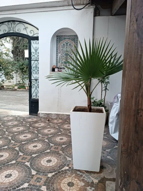 Pot de fleurs jardinière en GRC