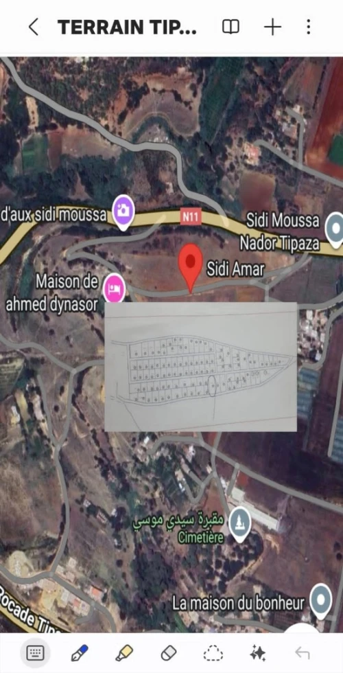 Vente Terrain Tipaza Nador