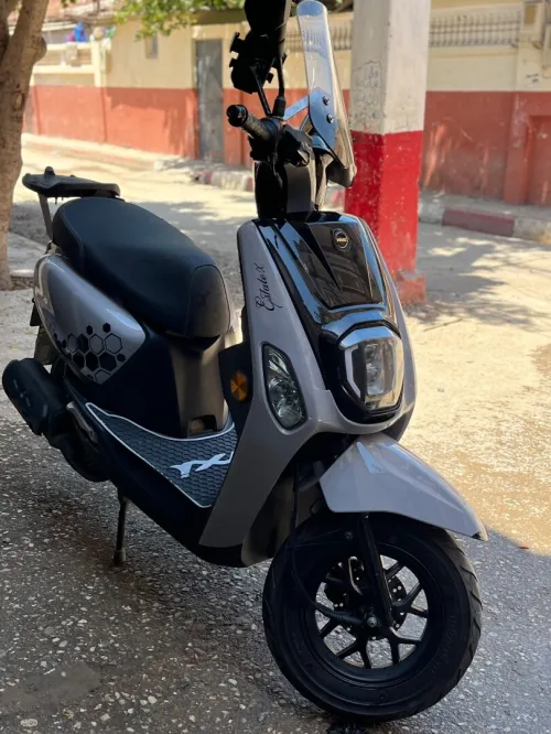 Vms Estate X 2024