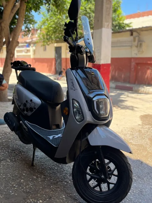 Vms Estate X 2024