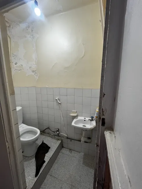 Location Appartement F3 Alger Bordj el bahri