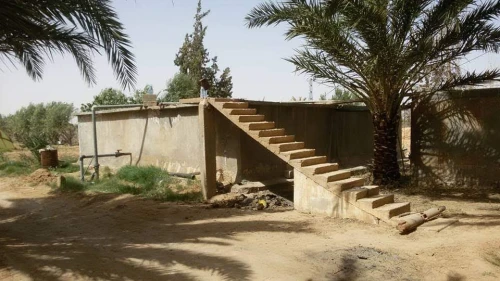 Vente Terrain Agricole Biskra Sidi okba
