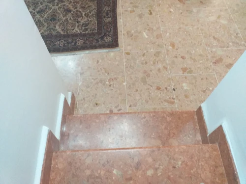 Vente Villa Alger Dely brahim