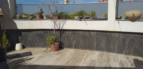 Location Immeuble Alger Staoueli