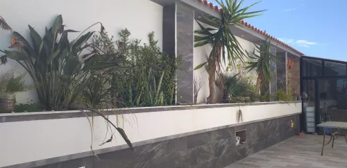 Location Immeuble Alger Staoueli