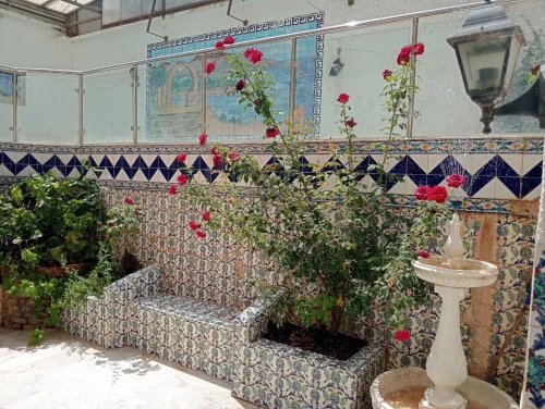 Location Villa Alger Cheraga