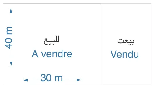 Vente Terrain Oran Oran