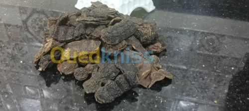 عشبة الشيكاكاي