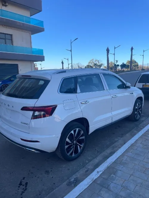 Skoda Karoq 2025 