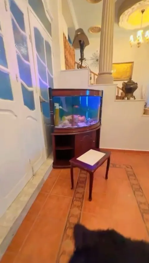 Location Villa Oran Oran