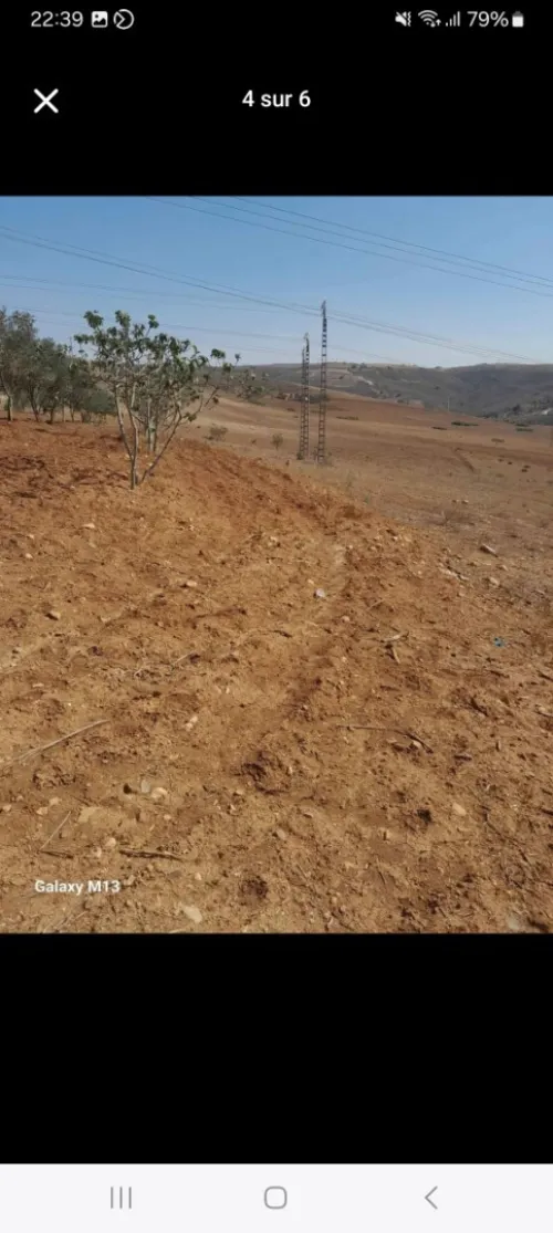 Vente Terrain Tlemcen Bab el assa