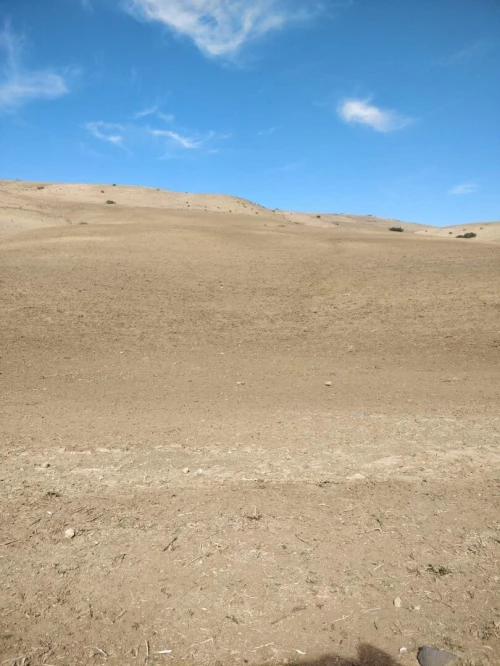 Vente Terrain Aïn Témouchent Aghlal