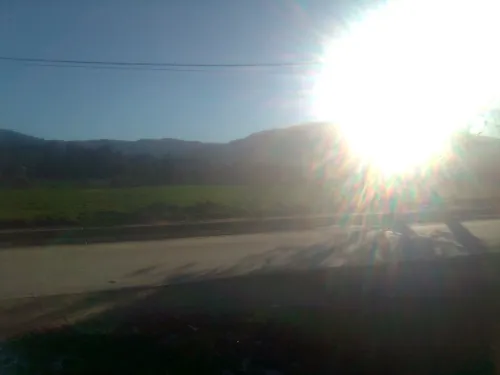 Vente Terrain Blida Bouinan