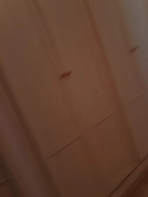 Location Appartement F3 Alger Draria