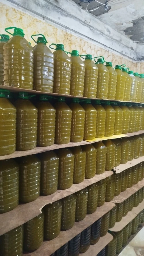 huile d'olive jijel
