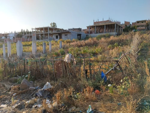 Vente Terrain Skikda Sidi mezghiche