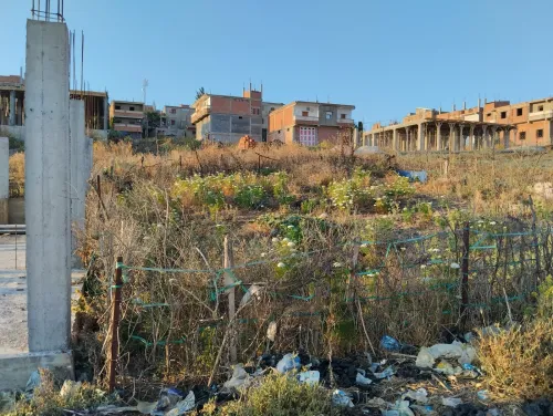 Vente Terrain Skikda Sidi mezghiche