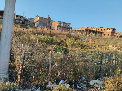 Vente Terrain Skikda Sidi mezghiche