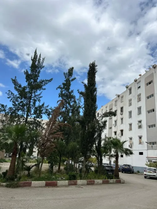 Location Appartement F2 Blida Blida