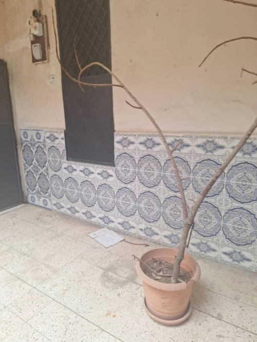 Vente Appartement F5 Annaba Annaba