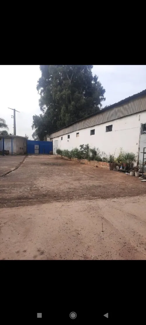 Vente Hangar Alger Gue de constantine