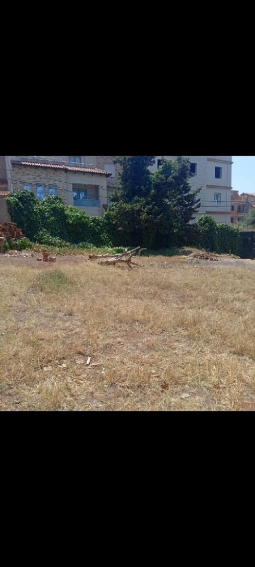 Vente Terrain Alger Saoula
