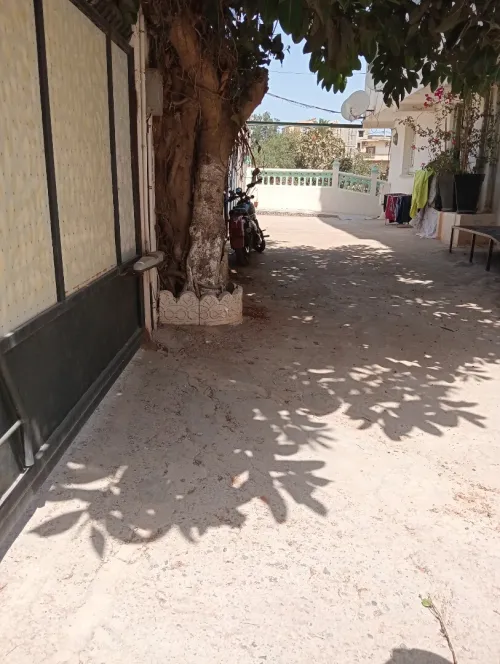Vente Appartement F3 Alger Saoula