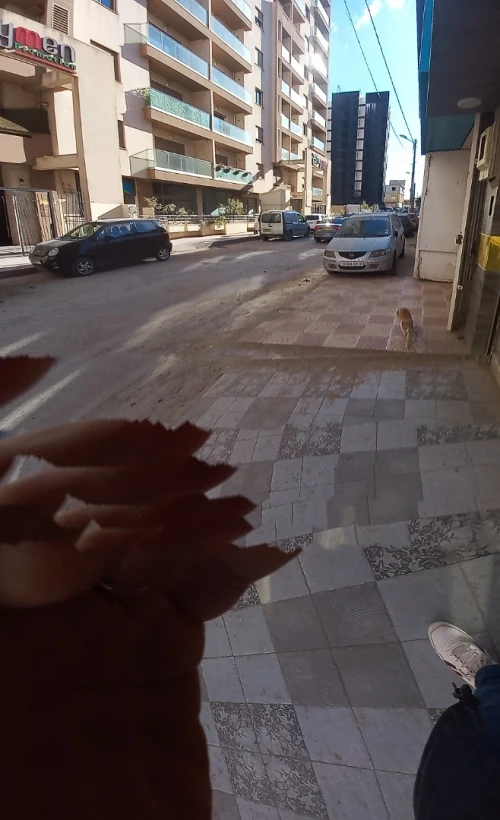 Location Local Alger Bir mourad rais