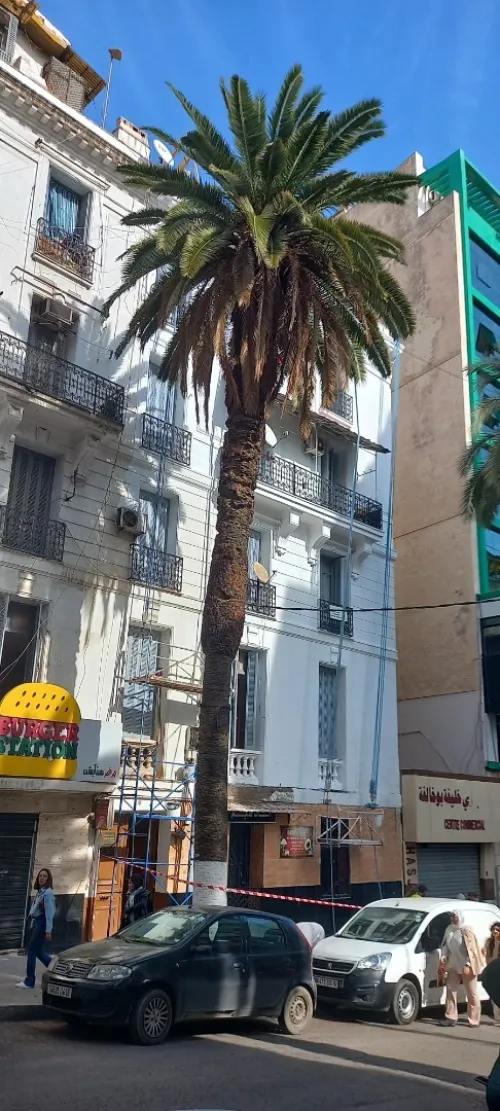 Vente Appartement F5 Alger Alger centre