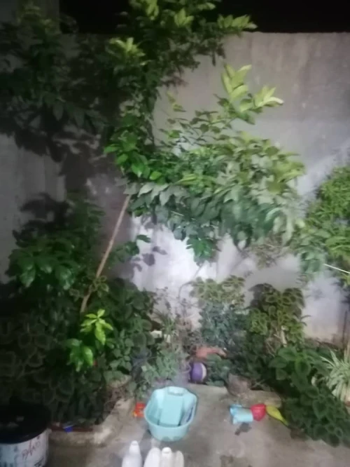 Vente Villa Alger Khraissia