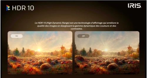 TV IRIS 65" MINILED M8020 GOOGLE TV 4k 120 HZ UHD ANDROID 14 65 POUCES