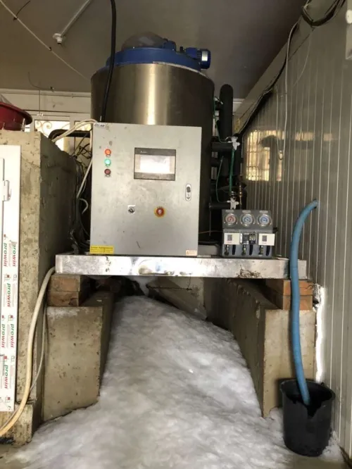 Machine glace ecaille 6 tonnes