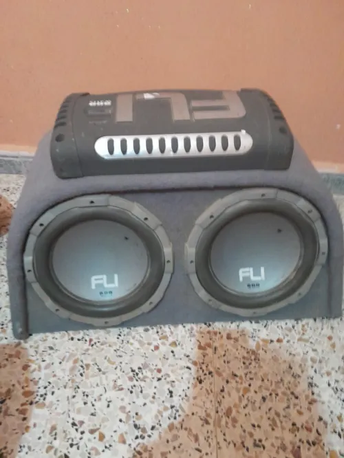 Subwoofer FLI original  25 cm avec JM 
