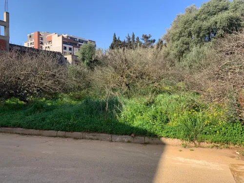 Vente Terrain Alger Draria
