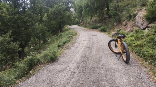 Vélo Trinx neuf