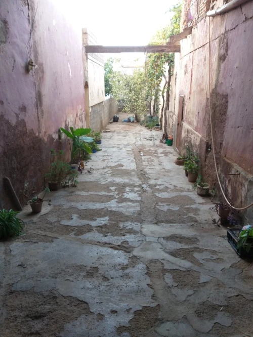Vente Villa Sidi Bel Abbès Hassi zehana