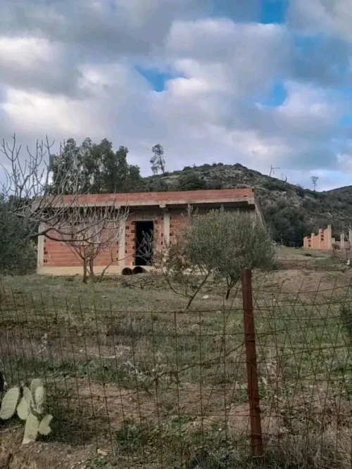 Vente Terrain Bouira Ain bessem