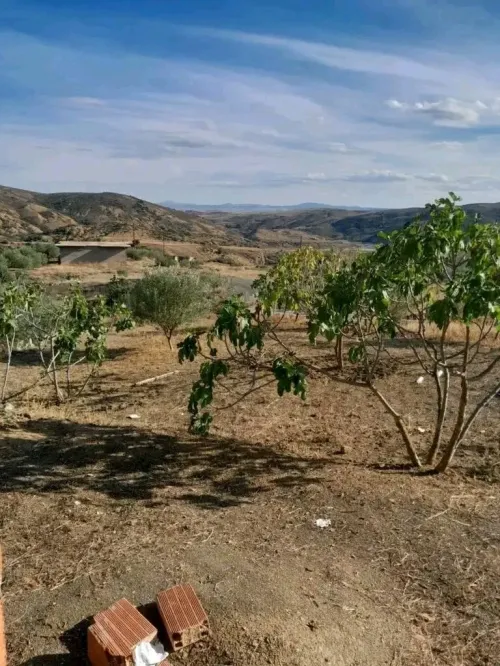 Vente Terrain Bouira Ain bessem