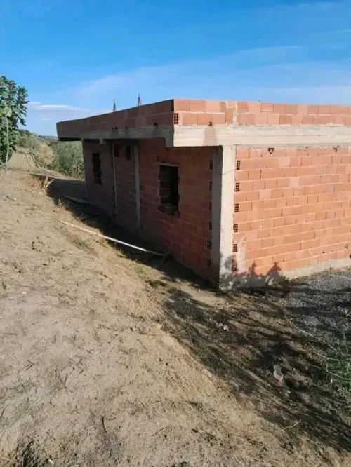 Vente Terrain Bouira Ain bessem