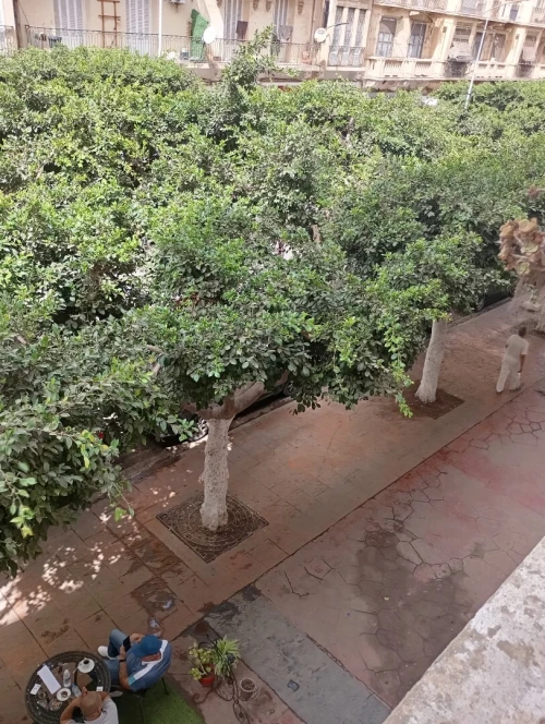 Location Appartement F4 Oran Oran