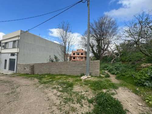 Vente Terrain Tlemcen Tlemcen