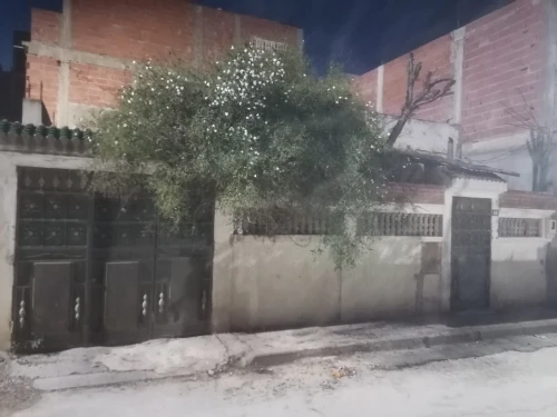 Vente Local Guelma Guelma