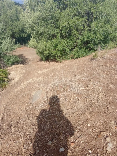 Vente Terrain Tizi Ouzou Tadmait