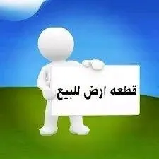 Vente Terrain Ouargla Ain beida